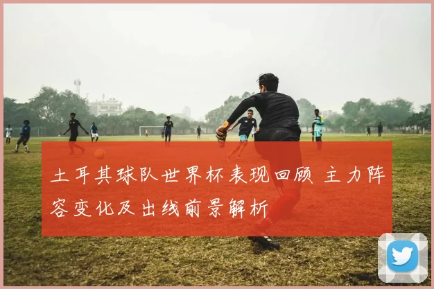 土耳其球队世界杯表现回顾 主力阵容变化及出线前景解析