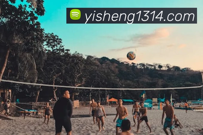 梅西率阿根廷夺美洲杯后续国家队备战安排与转会期影响评估